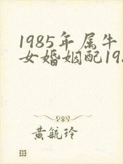 1985年属牛女婚姻配1988年属龙男