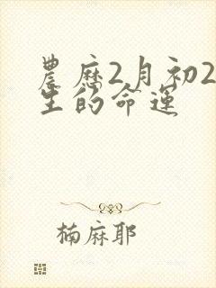 农历2月初2出生的命运封面