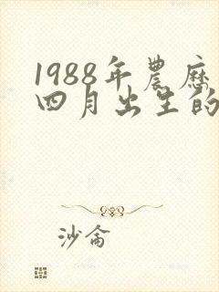 1988年农历四月出生的命运封面