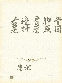 右边肩胛骨疼痛是什么原因引起的封面