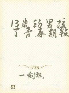 13岁的男孩到了青春期叛逆怎么教