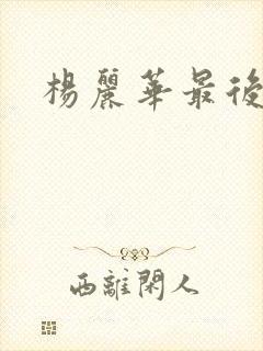 杨丽华最后结局封面