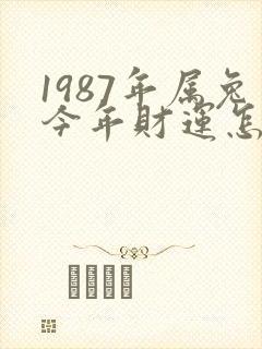 1987年属兔今年财运怎么样