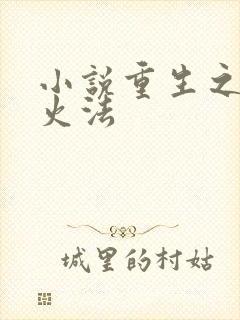 小说重生之狂暴火法