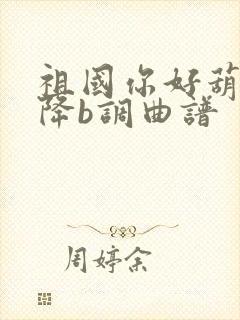 祖国你好葫芦丝降b调曲谱封面