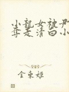 小龙女被尹志平夺走清白小说封面