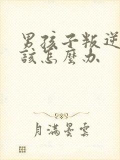 男孩子叛逆厌学该怎么办封面