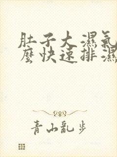 肚子大湿气重怎么快速排湿