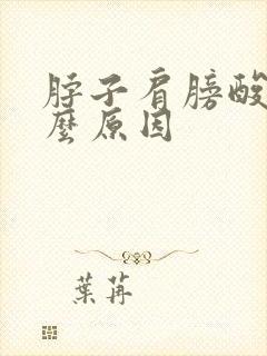 脖子肩膀酸痛什么原因