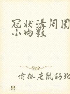 冠状沟周围处有小肉粒