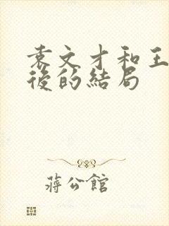 袁文才和王佐最后的结局封面