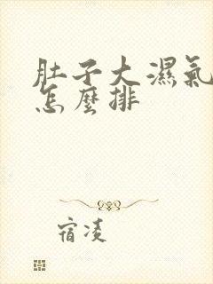 肚子大湿气太重怎么排封面