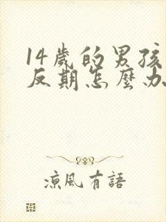 14岁的男孩逆反期怎么办封面