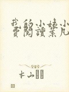 我的小姨小说免费阅读叶凡