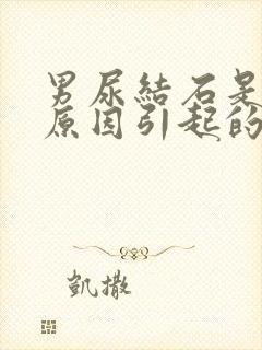 男尿结石是什么原因引起的啊封面