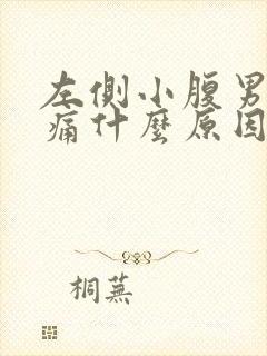 左侧小腹男性疼痛什么原因