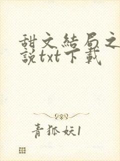 甜文结局之后小说txt下载