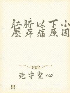 肚脐以下小腹按压疼痛原因