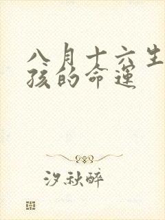 八月十六生的男孩的命运