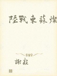 陆战东苏灿动漫封面