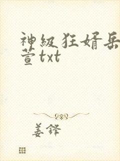 神级狂婿岳风柳萱txt