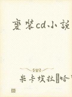 变装cd小说封面