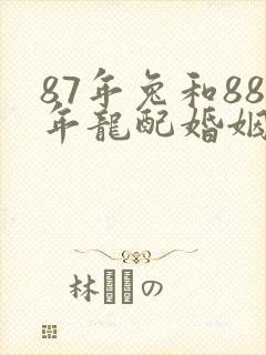 87年兔和88年龙配婚姻好不好