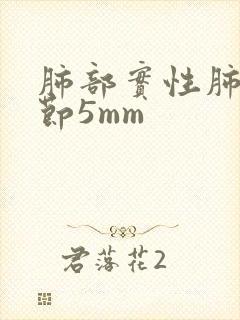 肺部实性肺上结节5mm