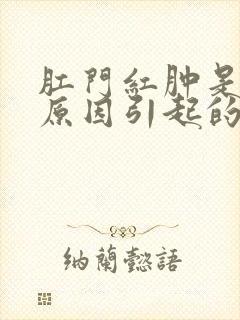 肛门红肿是什么原因引起的