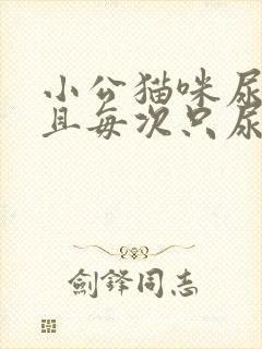 小公猫咪尿频而且每次只尿一点封面