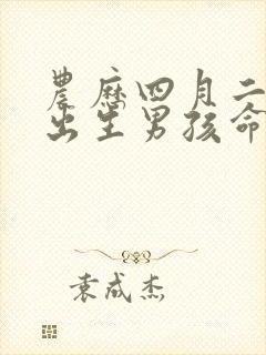 农历四月二十六出生男孩命运封面