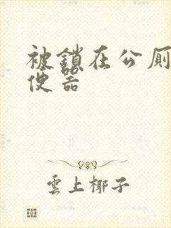 被锁在公厕当坐便器