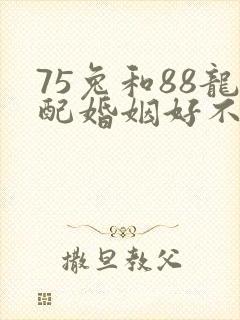 75兔和88龙配婚姻好不好