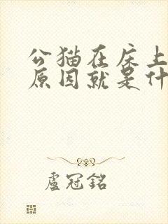 公猫在床上尿的原因就是什么封面