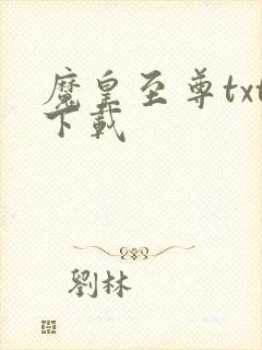 魔皇至尊txt下载