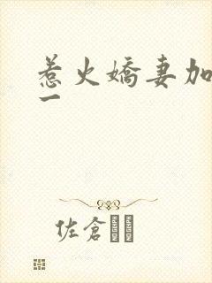 惹火娇妻加一送一