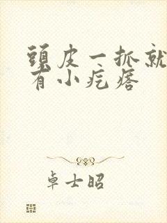 头皮一抓就疼还有小疙瘩