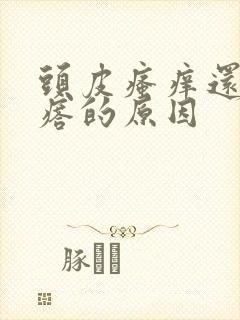 头皮瘙痒还有疙瘩的原因