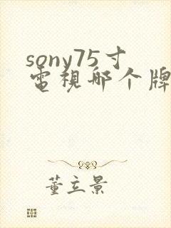 sony75寸电视哪个牌子好