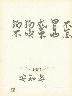 狗狗感冒不喝水不吃东西怎么办