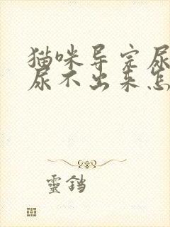 猫咪导完尿还是尿不出来怎么办