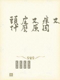 头皮又痒又油是什么原因封面