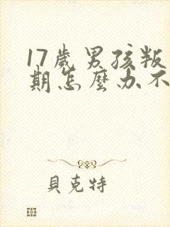 17岁男孩叛逆期怎么办不上学了