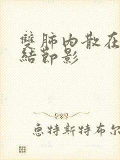 双肺内散在微小结节影