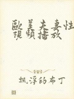 欧美夫妻性生活视频播放