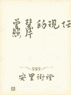 曾慧的现任丈夫照片