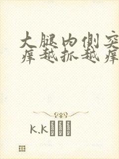 大腿内侧突然痒痒越抓越痒有小红疙瘩