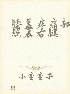 膝盖疼痛部位对照表右腿