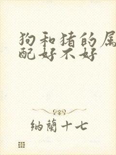 狗和猪的属相婚配好不好