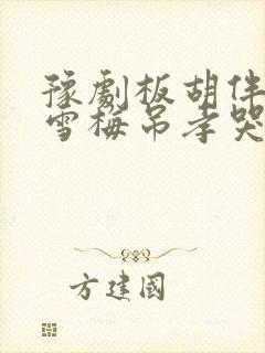 豫剧板胡伴奏秦雪梅吊孝哭灵